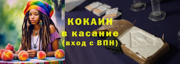 шишки Лагань