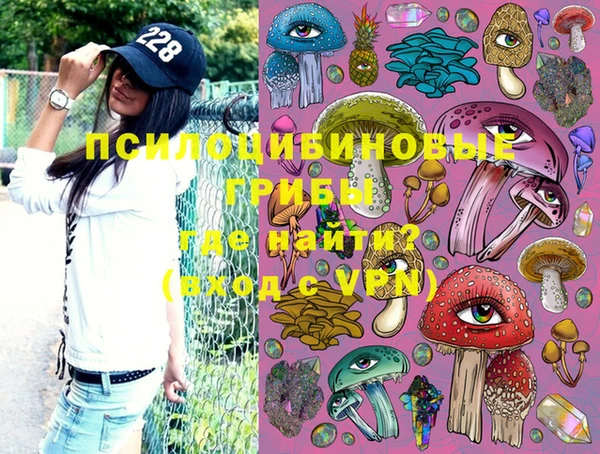 не бодяженный Ладушкин