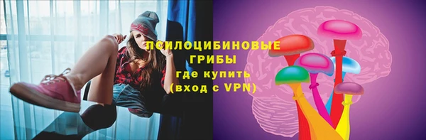 шишки Лагань