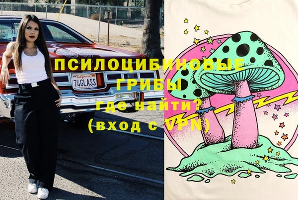 не бодяженный Ладушкин