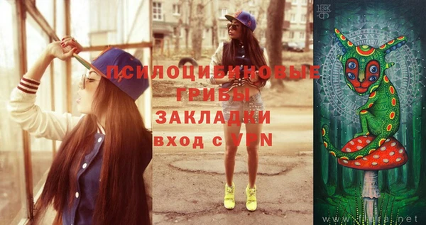 не бодяженный Ладушкин