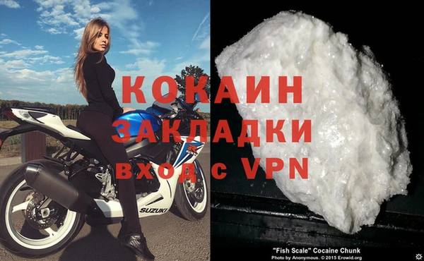 шишки Лагань