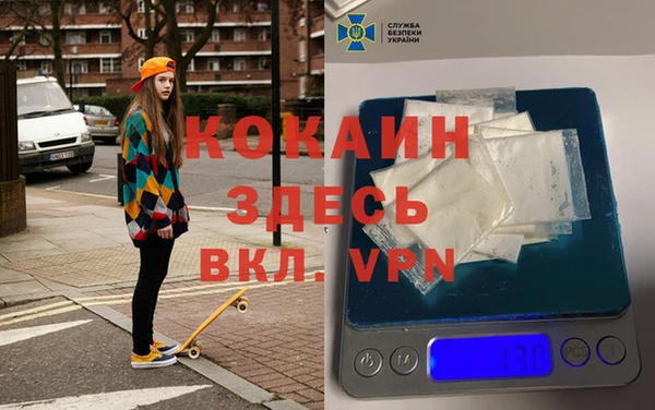 шишки Лагань