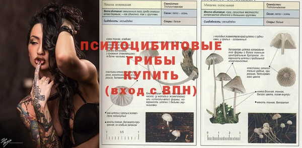гидра Лабытнанги