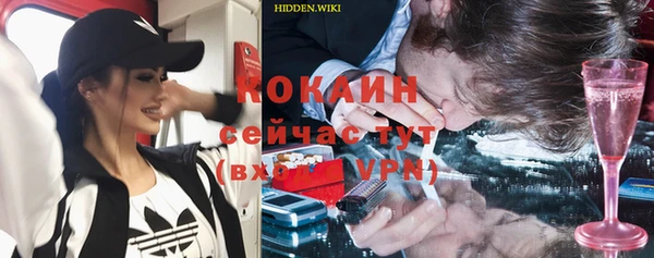 шишки Лагань