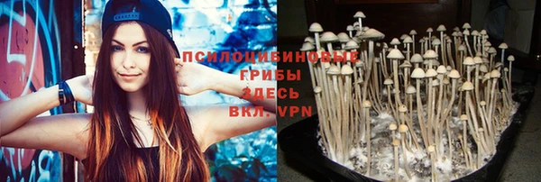 не бодяженный Ладушкин