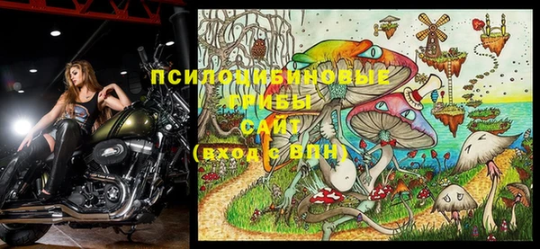 гидра Лабытнанги