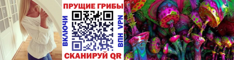 Псилоцибиновые грибы мицелий  Михайловск 