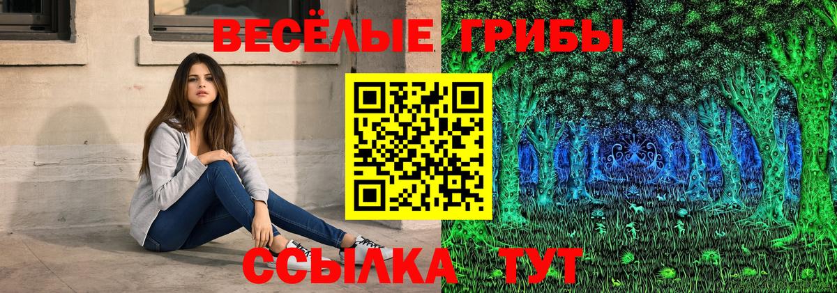 Галлюциногенные грибы Psilocybine cubensis  Вход с VPN  Михайловск 