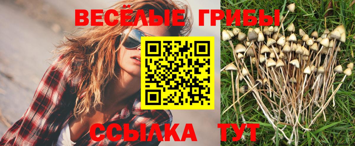 Галлюциногенные грибы MAGIC MUSHROOMS Михайловск